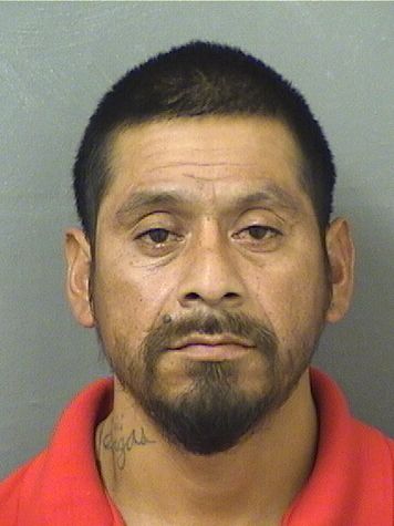  ANTONIO VARGAS Results from Palm Beach County Florida for  ANTONIO VARGAS