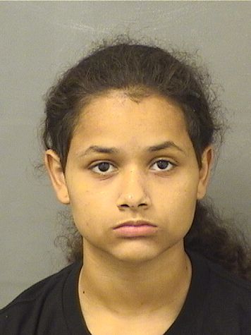  JIANNA PONCHI Results from Palm Beach County Florida for  JIANNA PONCHI