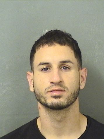  ALFREDO SANCHEZFERNANDEZ Results from Palm Beach County Florida for  ALFREDO SANCHEZFERNANDEZ