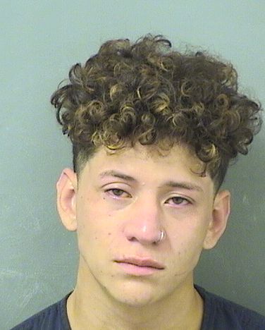  JOHN J VELASQUEZ Results from Palm Beach County Florida for  JOHN J VELASQUEZ