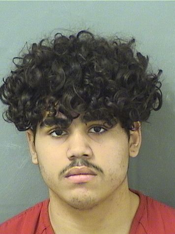 RICARDO DELEON Results from Palm Beach County Florida for RICARDO DELEON RICARDO DELEON Results from Palm Beach County Florida for RICARDO DELEON