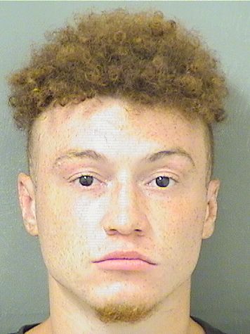  DOMINIQUE ALLEN WARREN Results from Palm Beach County Florida for  DOMINIQUE ALLEN WARREN