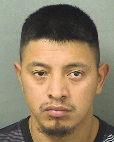  EFREN ALVAREZ VASQUEZ Results from Palm Beach County Florida for  EFREN ALVAREZ VASQUEZ