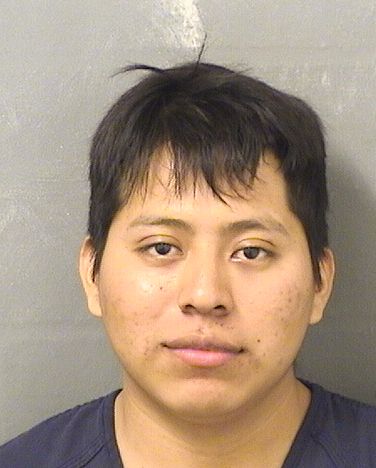  MARIANO DOMINGOORTIZ Results from Palm Beach County Florida for  MARIANO DOMINGOORTIZ