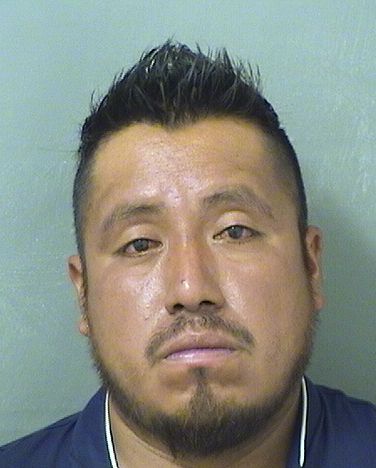  ANSELMO FORUNATO PALACIOSESCAMILLA Results from Palm Beach County Florida for  ANSELMO FORUNATO PALACIOSESCAMILLA