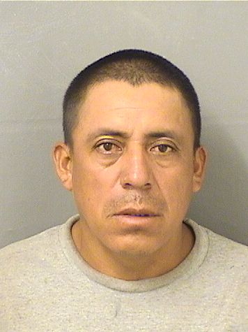 FRANCISCO FLORESROSAS Results from Palm Beach County Florida for FRANCISCO FLORESROSAS FRANCISCO FLORESROSAS Results from Palm Beach County Florida for FRANCISCO FLORESROSAS