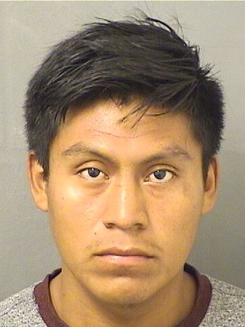  MINOR ALBERTO HERNANDEZ-PEREZ Results from Palm Beach County Florida for  MINOR ALBERTO HERNANDEZ-PEREZ