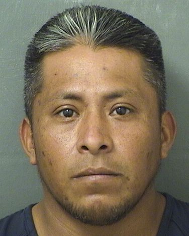 CESAR CACIQUEPIZANO resultados de la busqueda para Palm Beach County Florida para CESAR CACIQUEPIZANO CESAR CACIQUEPIZANO Resultados de la busqueda para Palm Beach County Florida para CESAR CACIQUEPIZANO