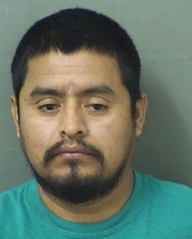  SEBASTIAN COLPOP Resultados de la busqueda para Palm Beach County Florida para  SEBASTIAN COLPOP