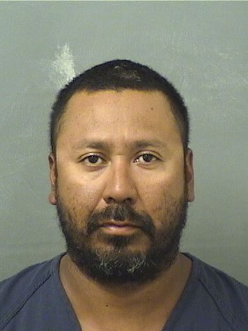  ENIO MANUEL MERLOS Results from Palm Beach County Florida for  ENIO MANUEL MERLOS