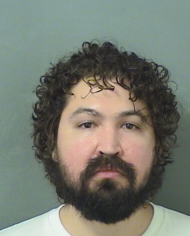  TYLER DAVID PEREZ Results from Palm Beach County Florida for  TYLER DAVID PEREZ