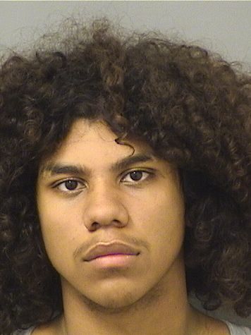  DENNYS JOEL FLORES Results from Palm Beach County Florida for  DENNYS JOEL FLORES