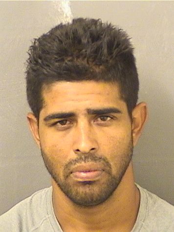  JOSE ALBERTO PENAHIDALGO Resultados de la busqueda para Palm Beach County Florida para  JOSE ALBERTO PENAHIDALGO