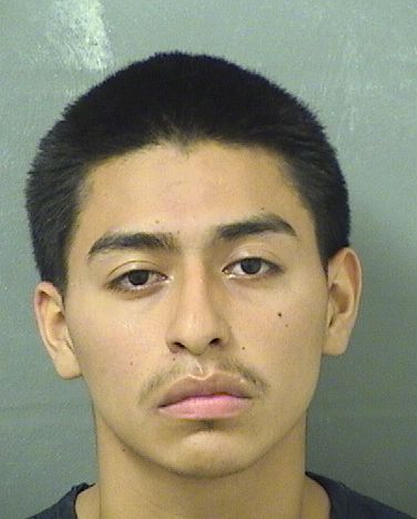 JULIAN ROSALESRAMOS Results from Palm Beach County Florida for JULIAN ROSALESRAMOS JULIAN ROSALESRAMOS Results from Palm Beach County Florida for JULIAN ROSALESRAMOS