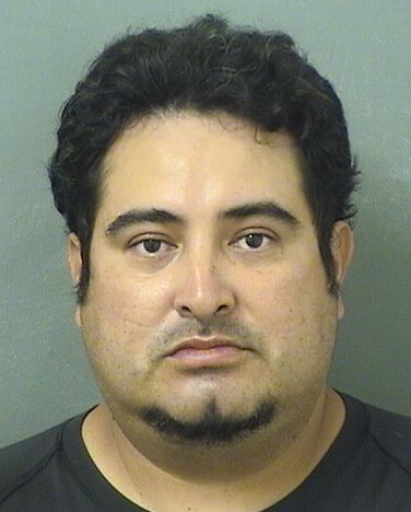  RODRIGO R ANDRADEMERCADO Results from Palm Beach County Florida for  RODRIGO R ANDRADEMERCADO