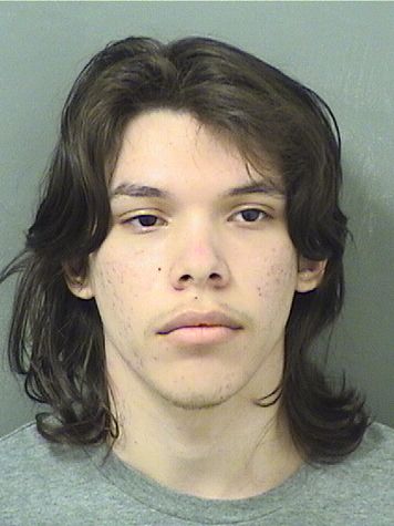  LUCAS ALFREDO ANDRADE Results from Palm Beach County Florida for  LUCAS ALFREDO ANDRADE