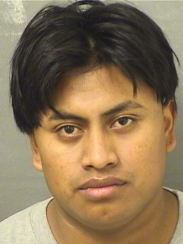  WILMER OLIVERPEREZ LOPEZ Photo For  WILMER OLIVERPEREZ LOPEZ