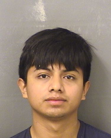 JOSE J ANDRESSILVESTRE Results from Palm Beach County Florida for JOSE J ANDRESSILVESTRE JOSE J ANDRESSILVESTRE Results from Palm Beach County Florida for JOSE J ANDRESSILVESTRE