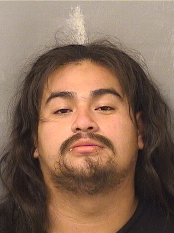  NERY DENILSON MEJIA Results from Palm Beach County Florida for  NERY DENILSON MEJIA