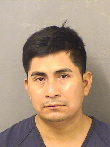 FRANSISCO RIGOBERTO DOMINGUEZ Photos For  FRANSISCO RIGOBERTO DOMINGUEZ  FRANSISCO RIGOBERTO DOMINGUEZ Photo For  FRANSISCO RIGOBERTO DOMINGUEZ