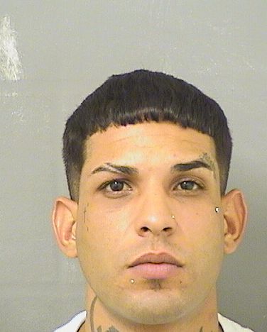  ROBERLANDYS PENAFERNANDEZ Results from Palm Beach County Florida for  ROBERLANDYS PENAFERNANDEZ