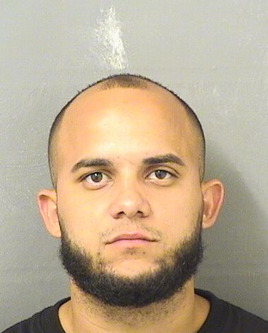  ZADIEL CARDOSO Results from Palm Beach County Florida for  ZADIEL CARDOSO