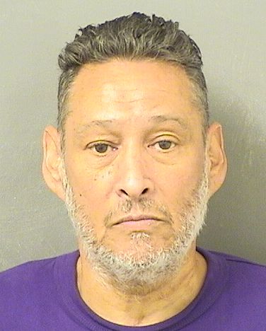  MICHAEL ANJEL CASTRO Results from Palm Beach County Florida for  MICHAEL ANJEL CASTRO