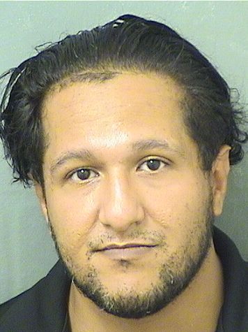 BASSEM HASSAN Results from Palm Beach County Florida for  BASSEM HASSAN