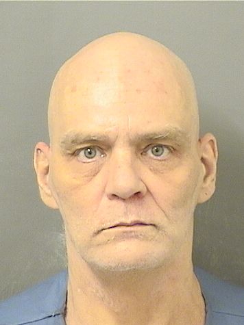  MARK STEVEN GRIBBON Photo For  MARK STEVEN GRIBBON