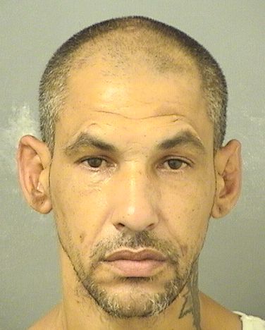  ISMAEL LOZADA Results from Palm Beach County Florida for  ISMAEL LOZADA