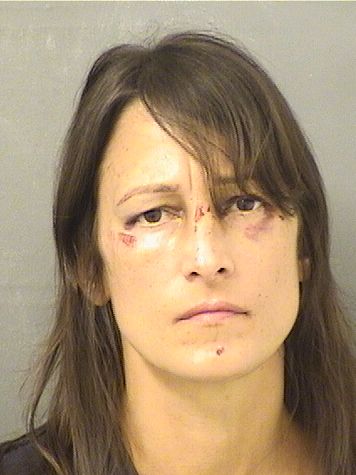  ERICA L SIEGEL Resultados de la busqueda para Palm Beach County Florida para  ERICA L SIEGEL