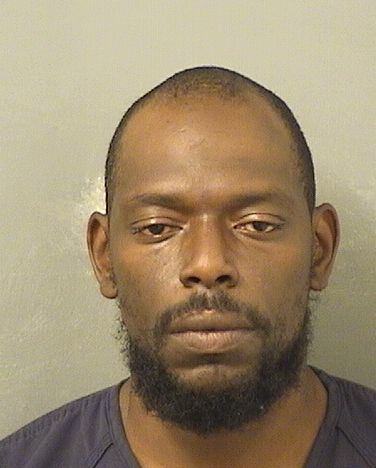  TERYL LASALLE II JONES Results from Palm Beach County Florida for  TERYL LASALLE II JONES