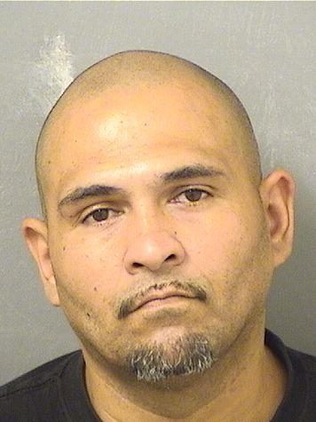  JOSE LUIS Jr RODRIGUEZ Results from Palm Beach County Florida for  JOSE LUIS Jr RODRIGUEZ