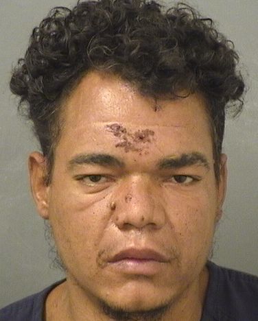  TRAVIS O BULLOCK Resultados de la busqueda para Palm Beach County Florida para  TRAVIS O BULLOCK