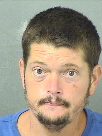  MICHAEL PATRICK LEWIS Results from Palm Beach County Florida for  MICHAEL PATRICK LEWIS