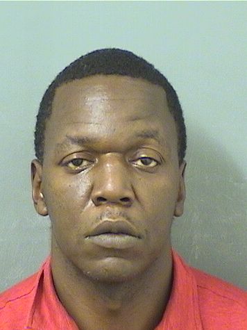  TERRANCE DWAYNE NELSON Results from Palm Beach County Florida for  TERRANCE DWAYNE NELSON