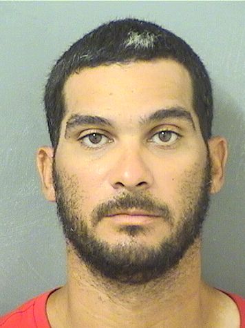  MATHEW CHRISTOPHER VAZQUEZ Results from Palm Beach County Florida for  MATHEW CHRISTOPHER VAZQUEZ