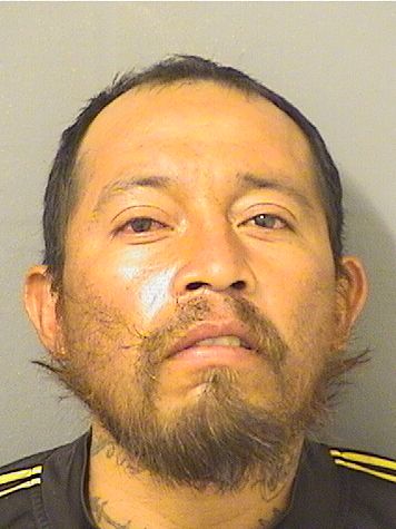 FRANCISCO VARGASRAMIREZ Results from Palm Beach County Florida for FRANCISCO VARGASRAMIREZ FRANCISCO VARGASRAMIREZ Results from Palm Beach County Florida for FRANCISCO VARGASRAMIREZ