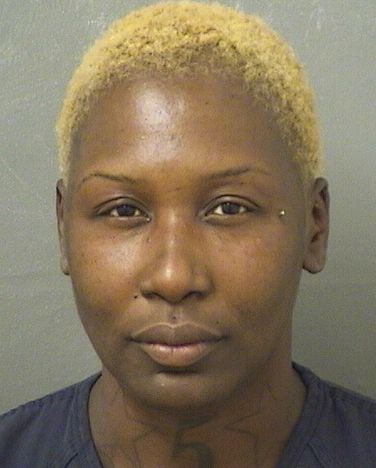  SHAYLA KATRICE WILLIAMS Results from Palm Beach County Florida for  SHAYLA KATRICE WILLIAMS
