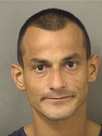  JYOVANNI RIBOT Results from Palm Beach County Florida for  JYOVANNI RIBOT