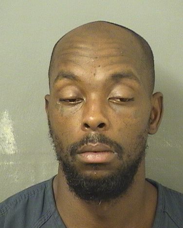  TRAVIS ANTHONY TURNER Results from Palm Beach County Florida for  TRAVIS ANTHONY TURNER