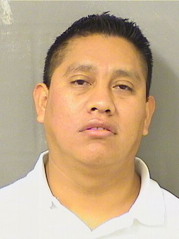  EDGAR I RAMIREZROJAS Results from Palm Beach County Florida for  EDGAR I RAMIREZROJAS