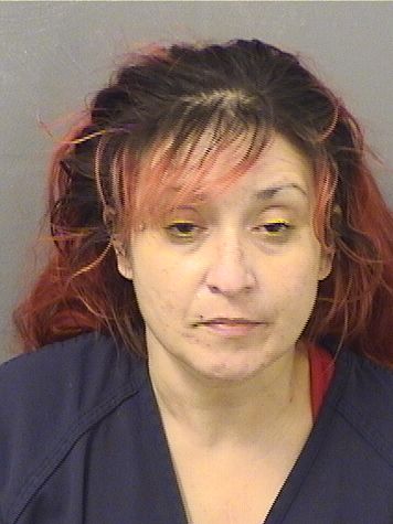  KAYLA AMARGOS Results from Palm Beach County Florida for  KAYLA AMARGOS