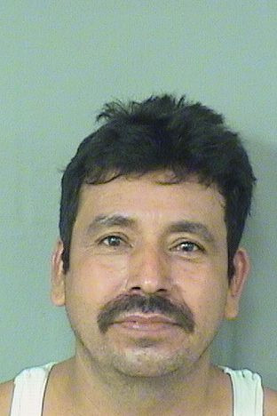  FEDERICO BONILLATOLEDO Results from Palm Beach County Florida for  FEDERICO BONILLATOLEDO