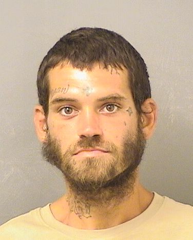 BRANDON M BOROZNY Results from Palm Beach County Florida for BRANDON M BOROZNY BRANDON M BOROZNY Results from Palm Beach County Florida for BRANDON M BOROZNY