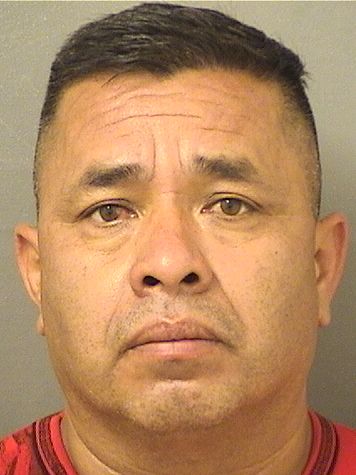  ALEJANDRO DIAZMATEO Results from Palm Beach County Florida for  ALEJANDRO DIAZMATEO