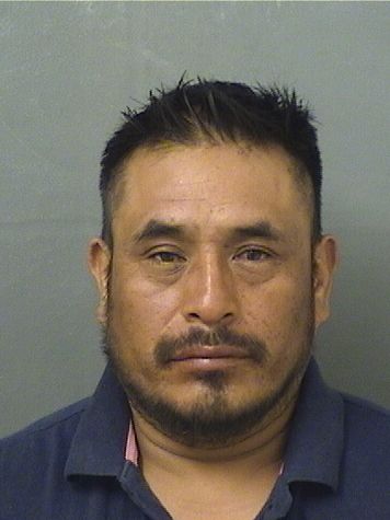  ARMANDO LOPEZCHAJ Results from Palm Beach County Florida for  ARMANDO LOPEZCHAJ