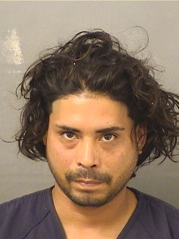 WILMER MIGUEL VELASQUEZ Photos For  WILMER MIGUEL VELASQUEZ  WILMER MIGUEL VELASQUEZ Photo For  WILMER MIGUEL VELASQUEZ