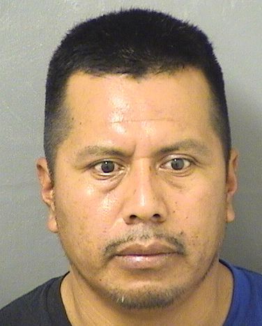  ELISEO LOPEZMENDEZ Resultados de la busqueda para Palm Beach County Florida para  ELISEO LOPEZMENDEZ