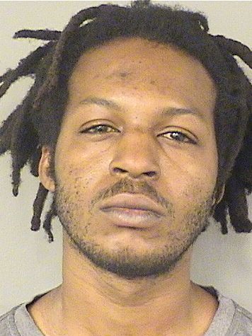  MICHAEL ANTHONY DAVIS Results from Palm Beach County Florida for  MICHAEL ANTHONY DAVIS